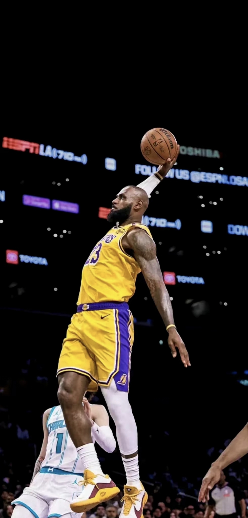 勒比诸国的 勒比诸国的