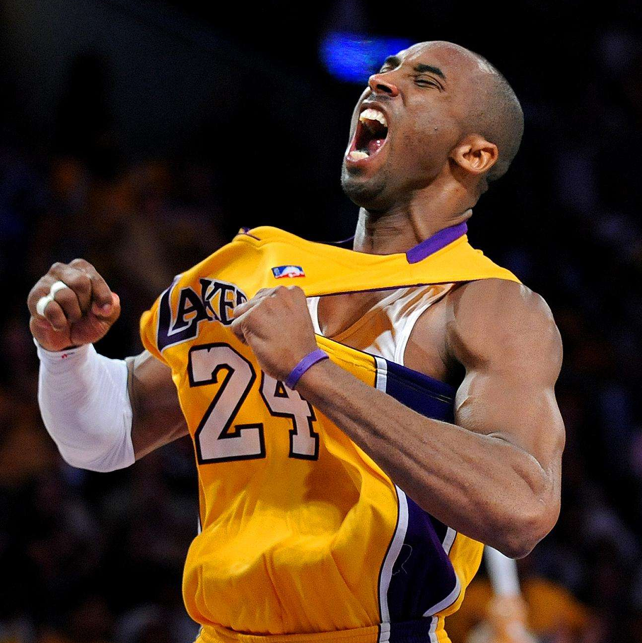 莱昂纳德闪 莱昂纳德闪